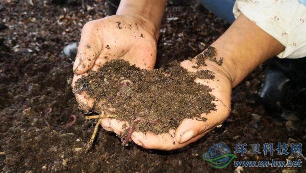 每20噸不值錢的濕垃圾，可以轉換成1噸售價在1萬多元的蚯蚓活體
